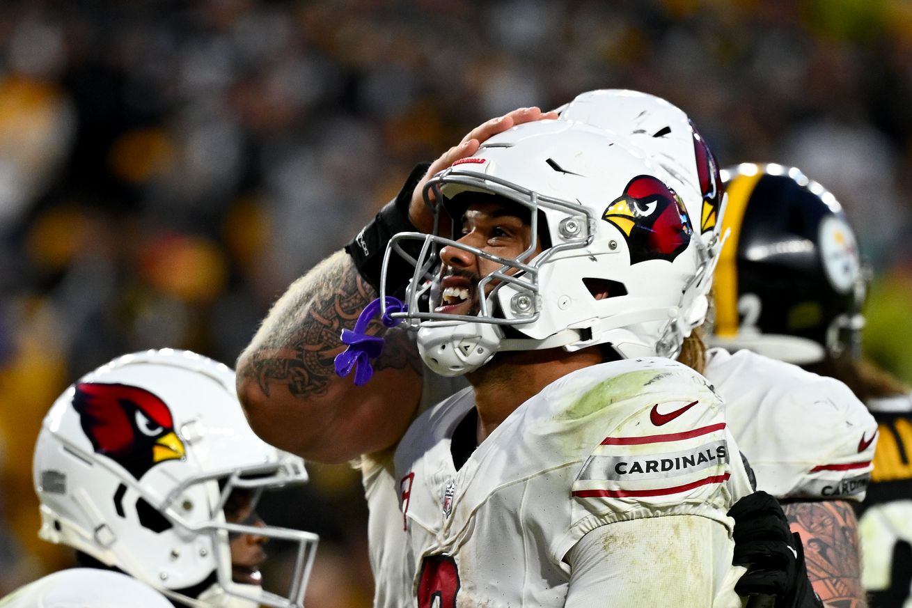 Arizona Cardinals v Pittsburgh Steelers