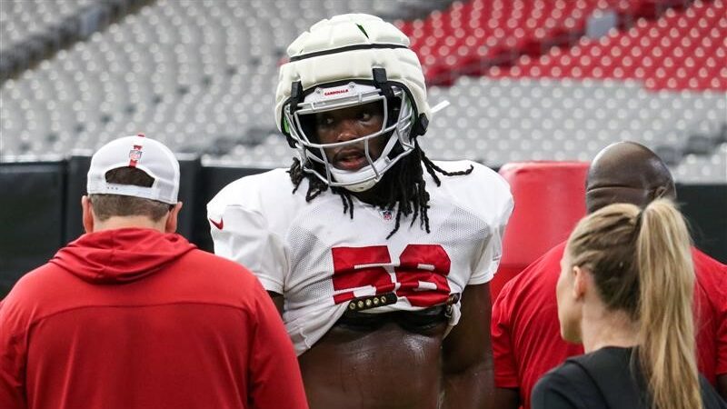 Cardinals place rookie Darius Robinson on injured reserve