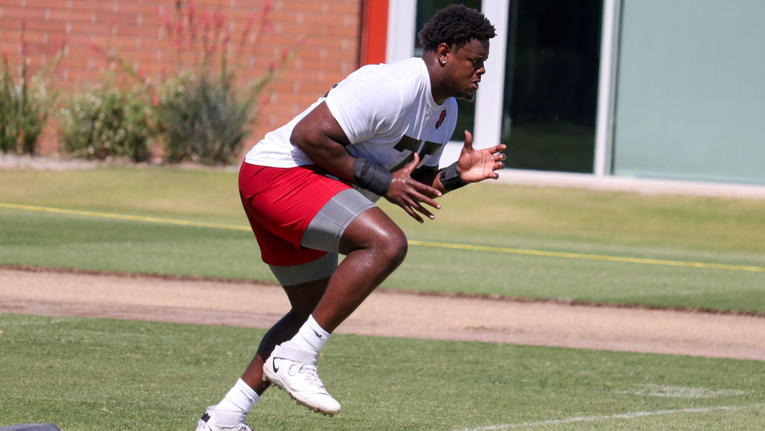 Cardinals designate OT Christian Jones to return from IR, waiting on DL Darius Robinson