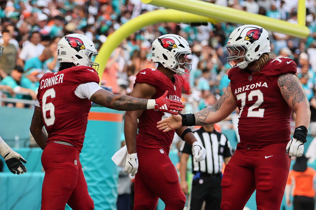 NFL: Arizona Cardinals at Miami Dolphins
