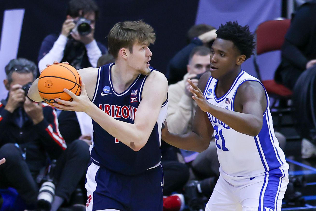 Arizona-Wildcats-mens-college-basketball-henri-veesaar-ncaa-transfer-portal-recruiting-estonia-2025