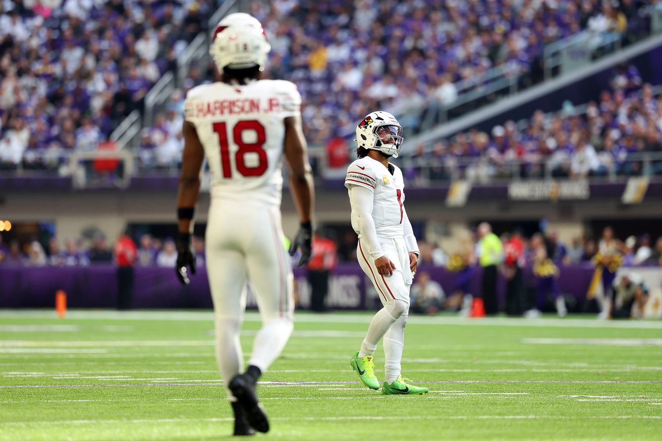 Arizona Cardinals v Minnesota Vikings