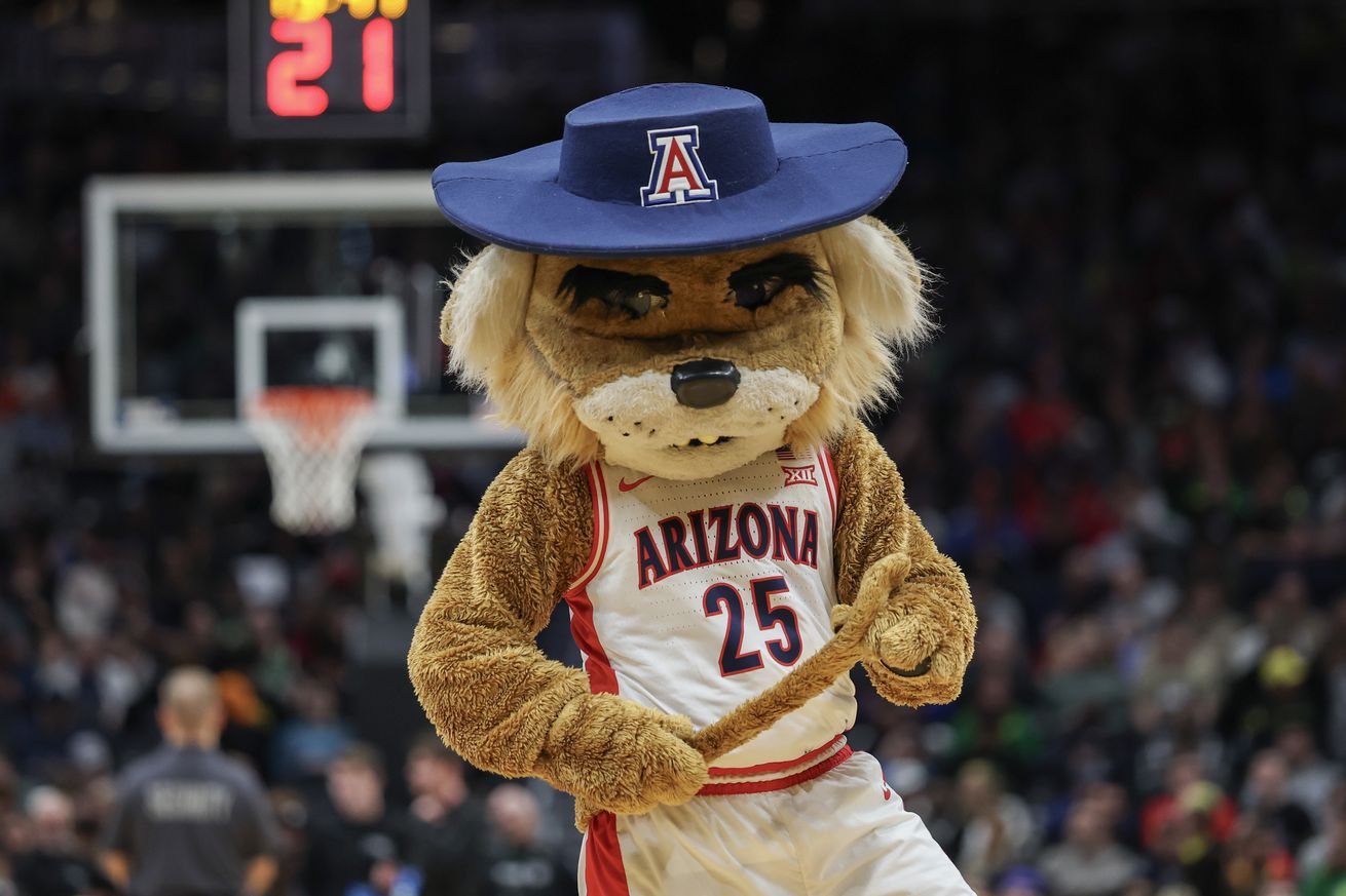 arizona-wildcats-athletics-nil-state-law-katie-hobbs-legislature-revenue-name-image-likeness-2025