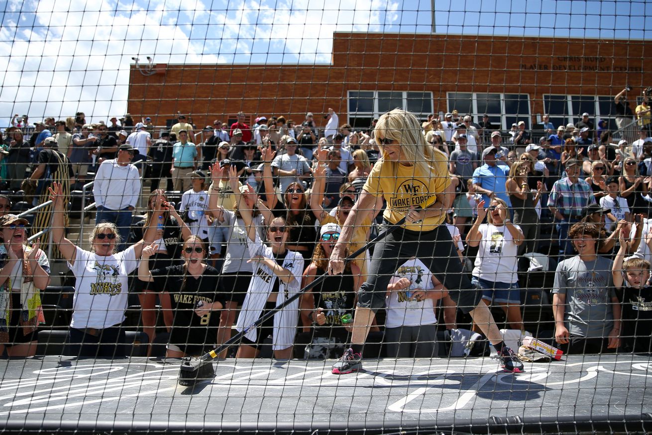 A Wake Forest fan sweeps the dugout roof