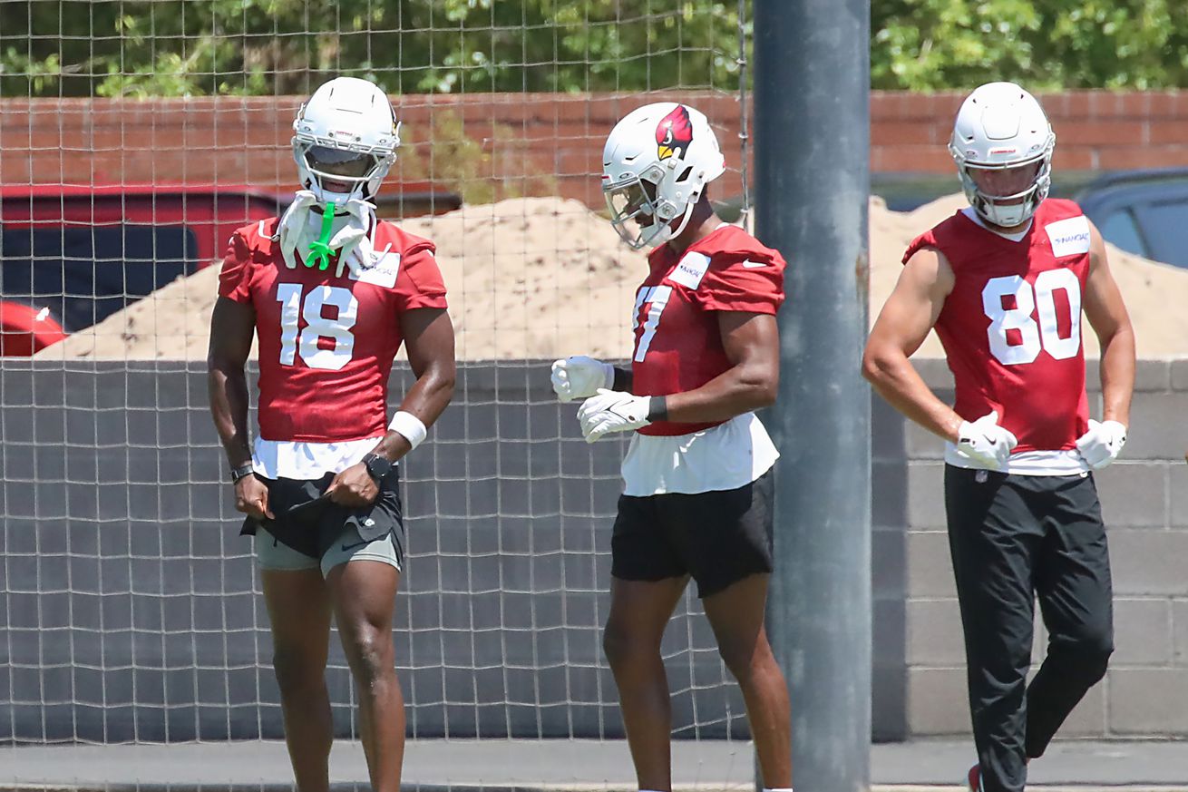 Arizona Cardinals OTA Offseason Workouts