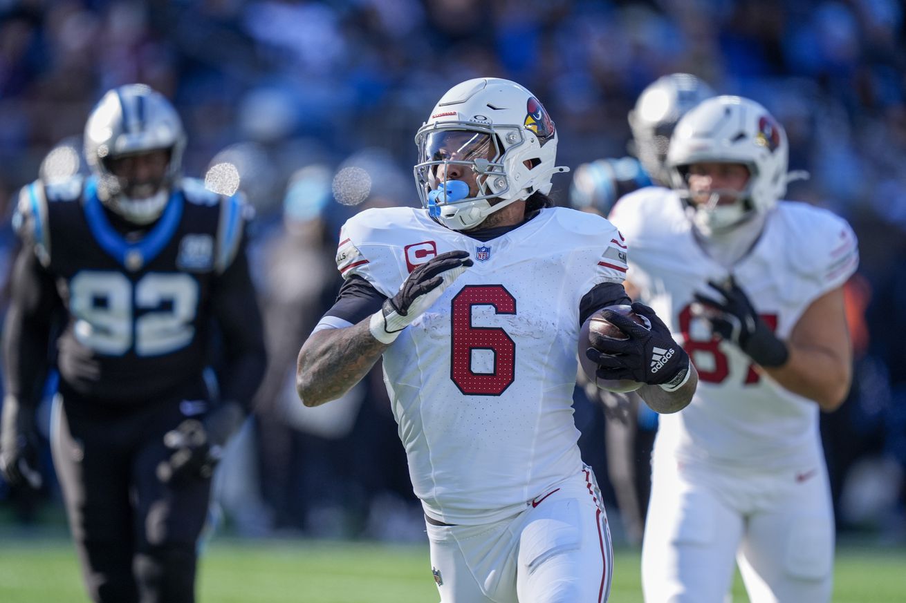 NFL: Arizona Cardinals at Carolina Panthers