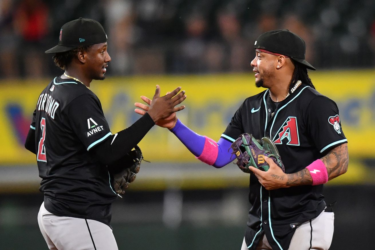 MLB: Arizona Diamondbacks at Chicago White Sox