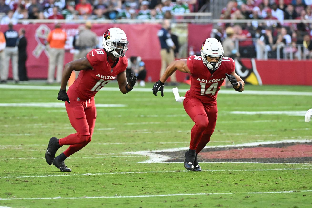New York Jets v Arizona Cardinals