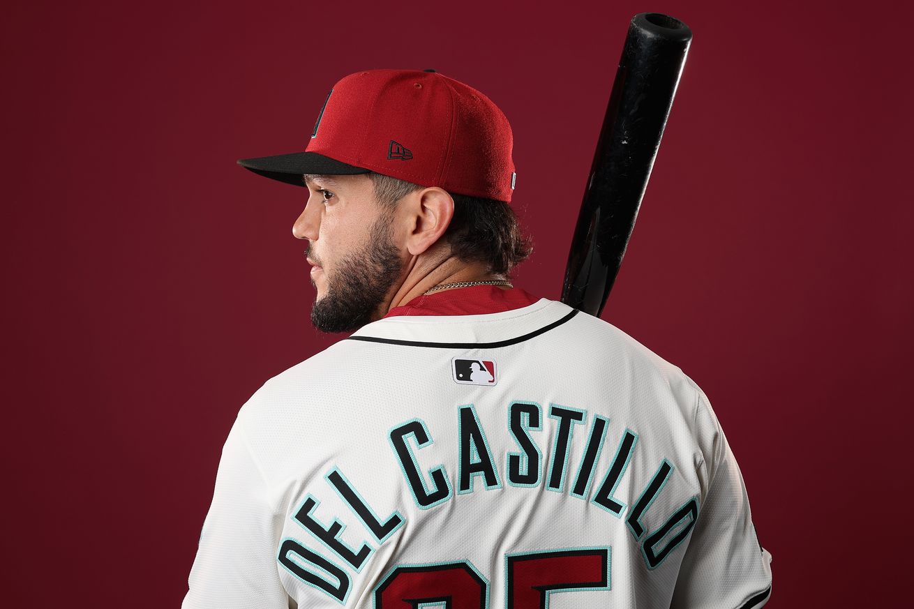 Arizona Diamondbacks Photo Day