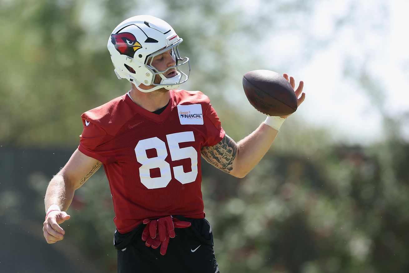 Arizona Cardinals Mandatory Minicamp