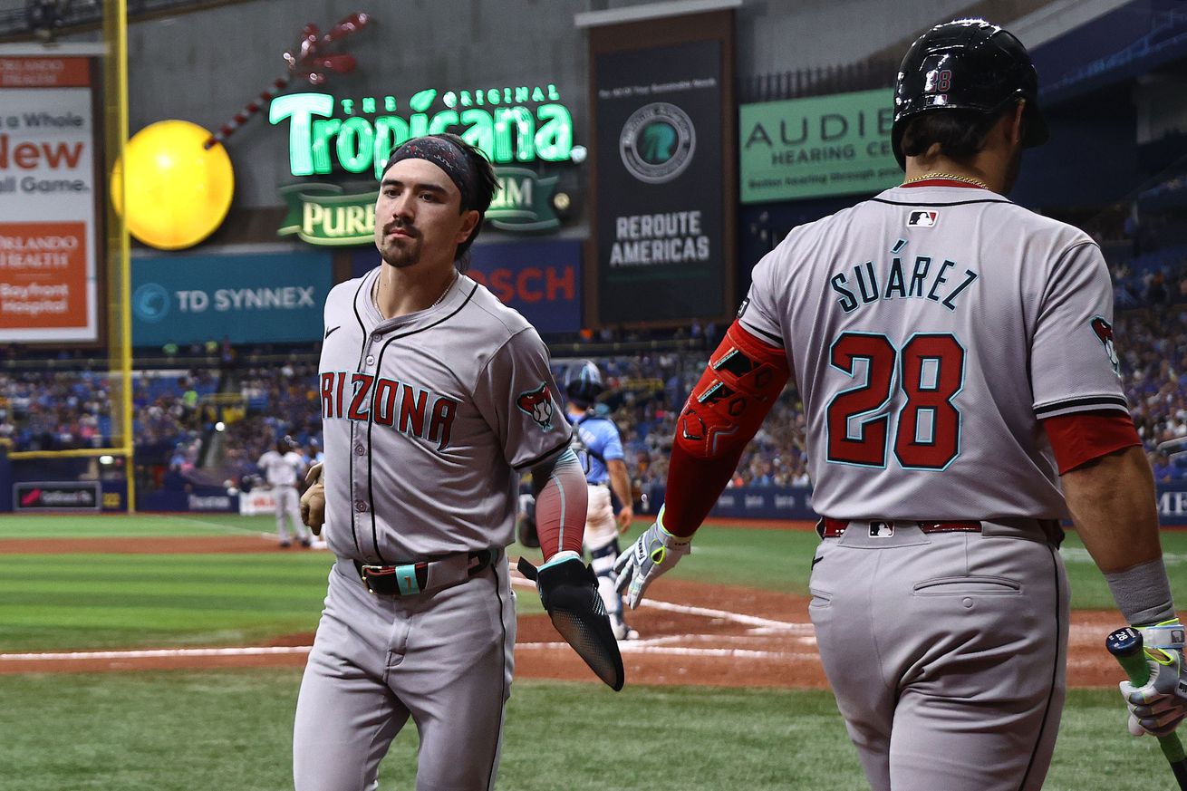 MLB: Arizona Diamondbacks at Tampa Bay Rays