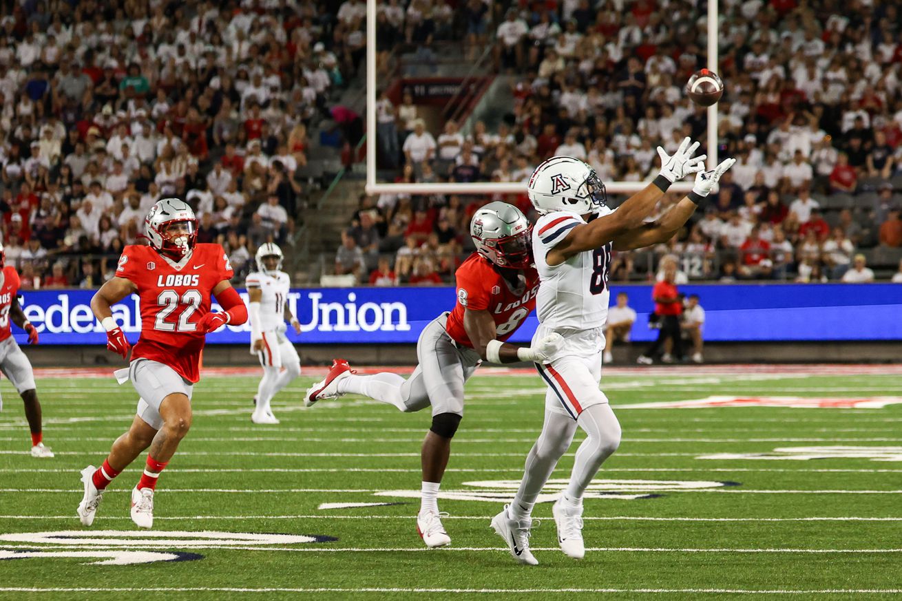 arizona-wildcats-football-tight-ends-position-preview-josh-miller-keyan-burnett-olson-barmore-powell