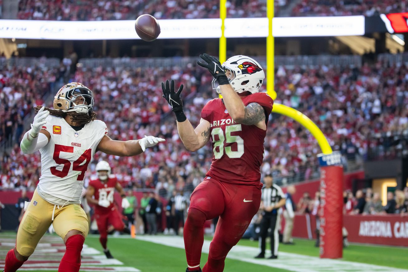 NFL: San Francisco 49ers at Arizona Cardinals