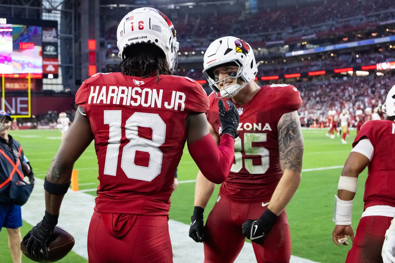 NFL: San Francisco 49ers at Arizona Cardinals