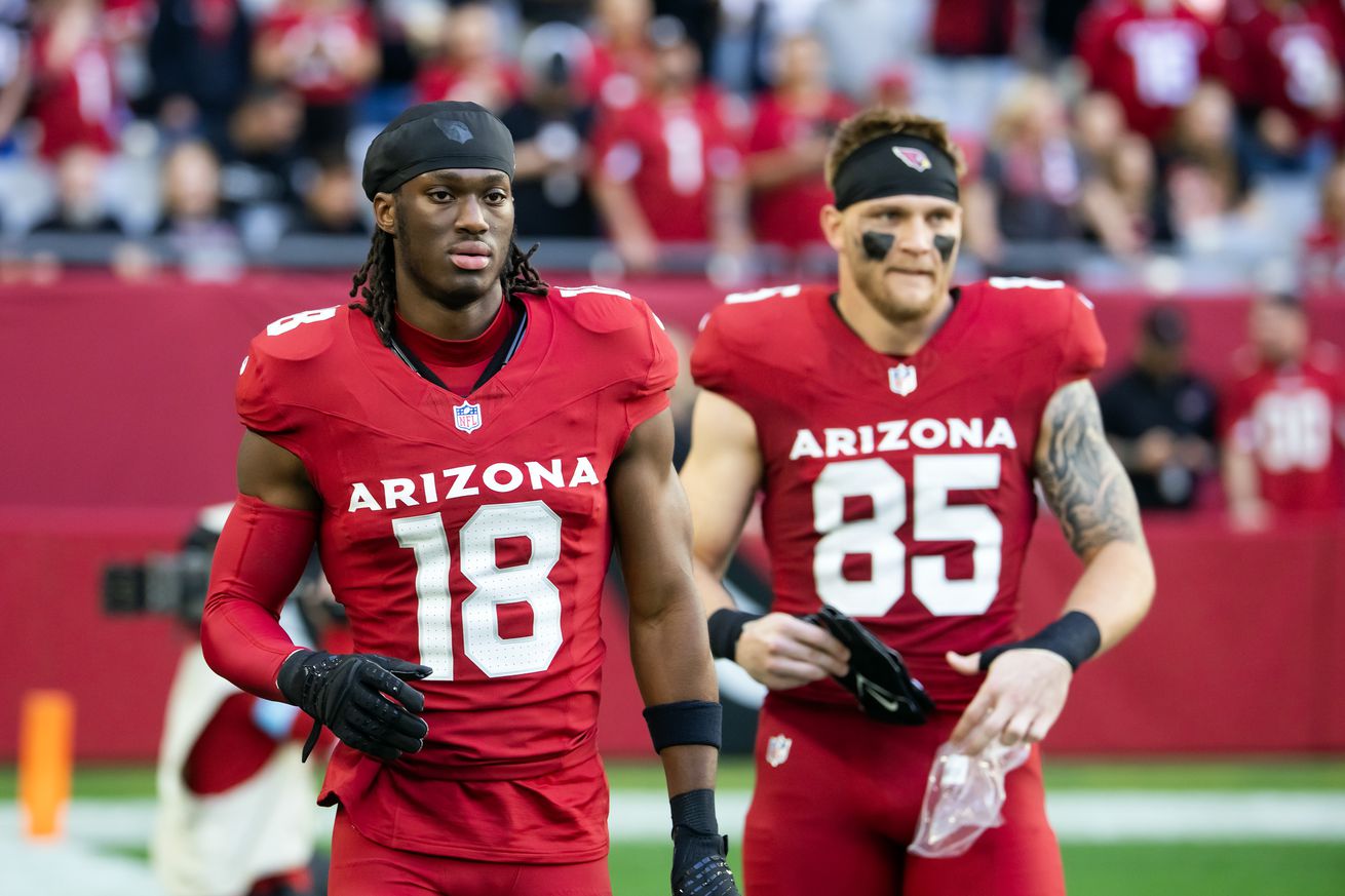 NFL: San Francisco 49ers at Arizona Cardinals
