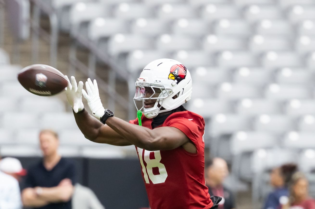 NFL: Arizona Cardinals Training Camp