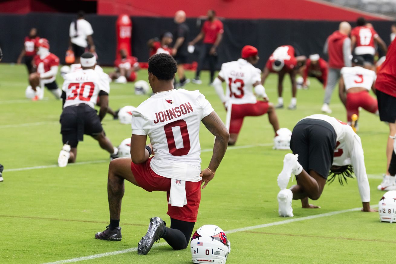 NFL: Arizona Cardinals Training Camp