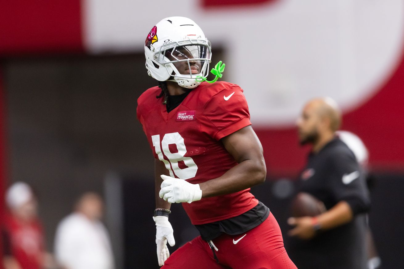 NFL: Arizona Cardinals Training Camp
