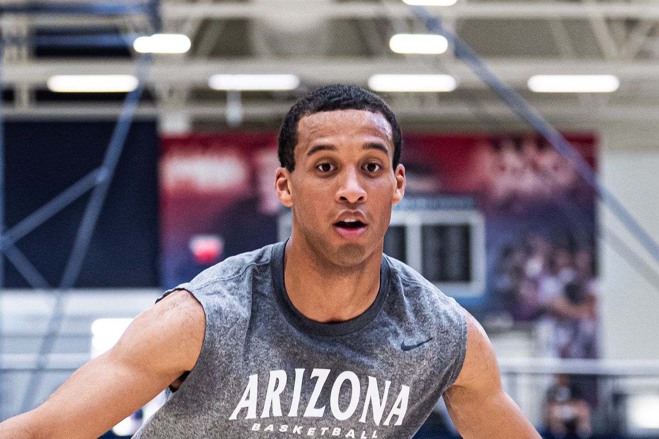 arizona-wildcats-mens-basketball-evan-nelson-dwayne-aristode-newcomers-harvard-netherlands-2025